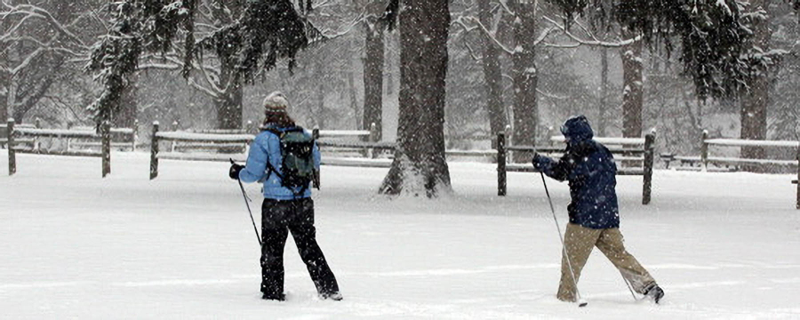 A photo of two cross-country skiers during a snowfall