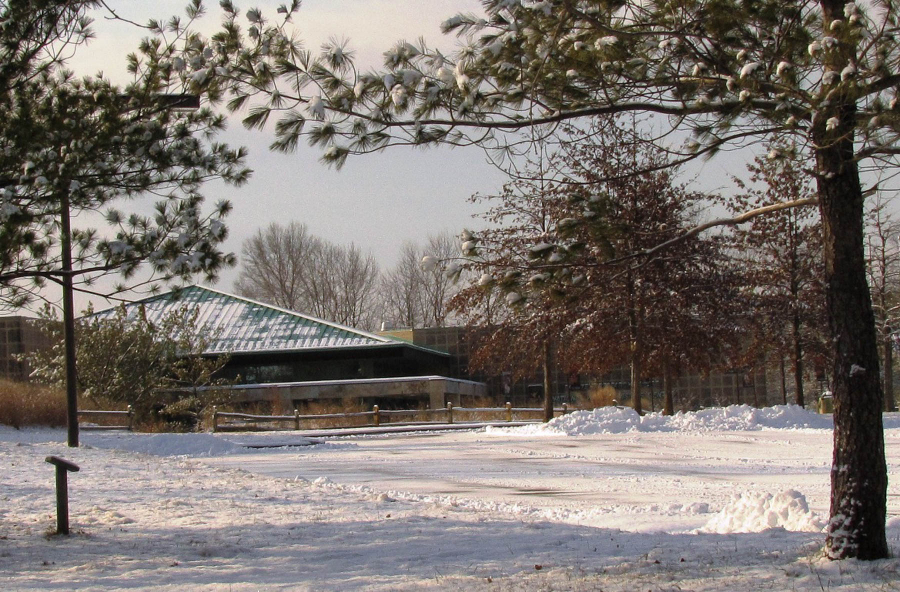 A photo of buildings and trees covered in new snow.