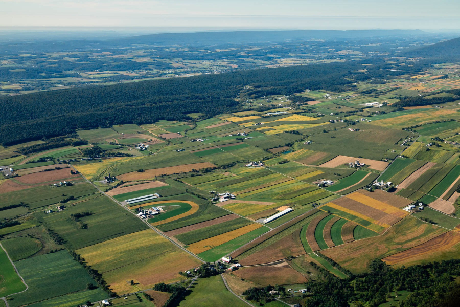 Aerial view of farmland and forest.