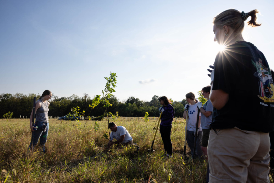 Several young adults surround a man planting a tree in a wide field at sunset.