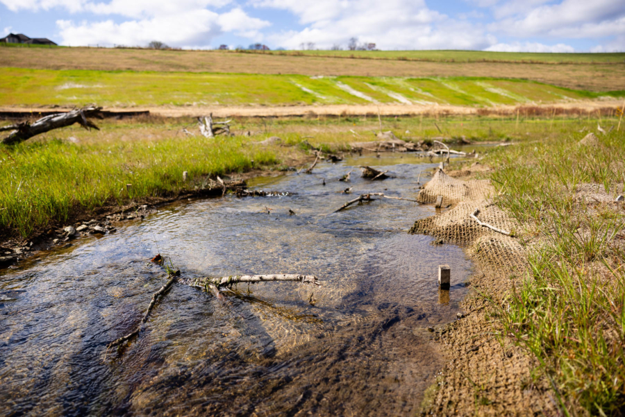 Clear water flows through a stream.  Jute netting lines the edges of the creek and fresh plant growth fills the surrounding landscape.