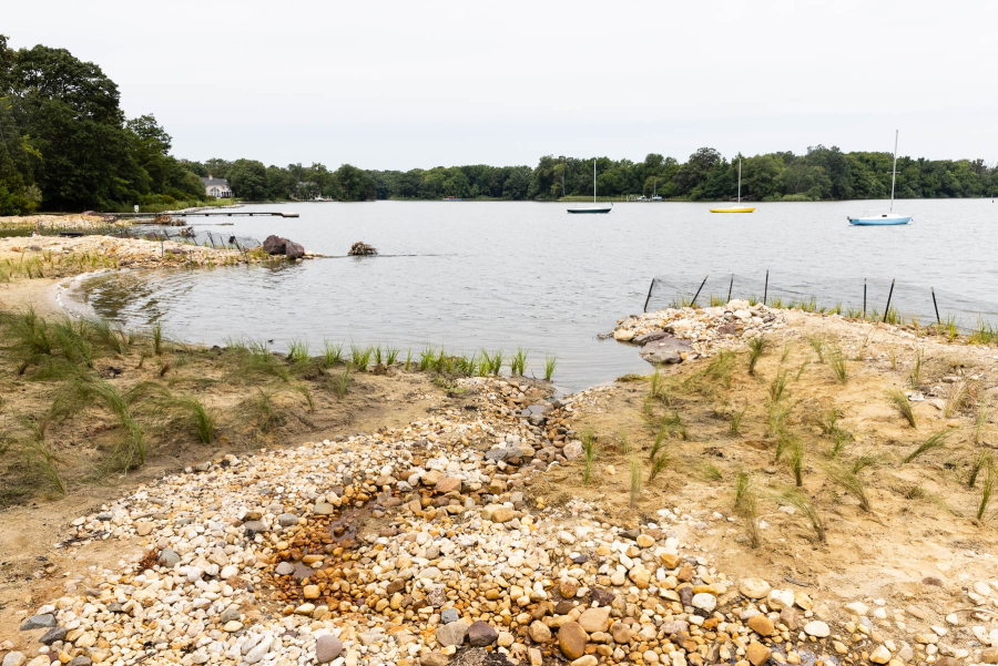 A beach with grasses growing on it.