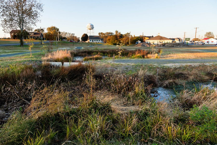 Wetland grasses and other vegetation grow in a flooded channel in front of a small town, marked by homes and a water tower.