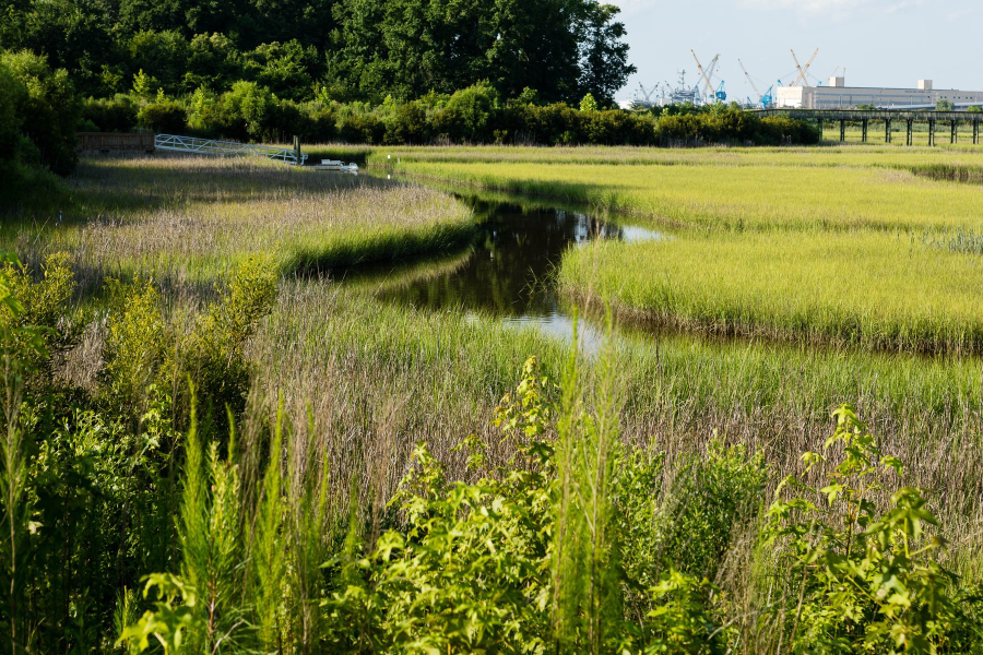 A creek winds through bright green marsh grass, toward a floating dock and, in the far distance, construction cranes.