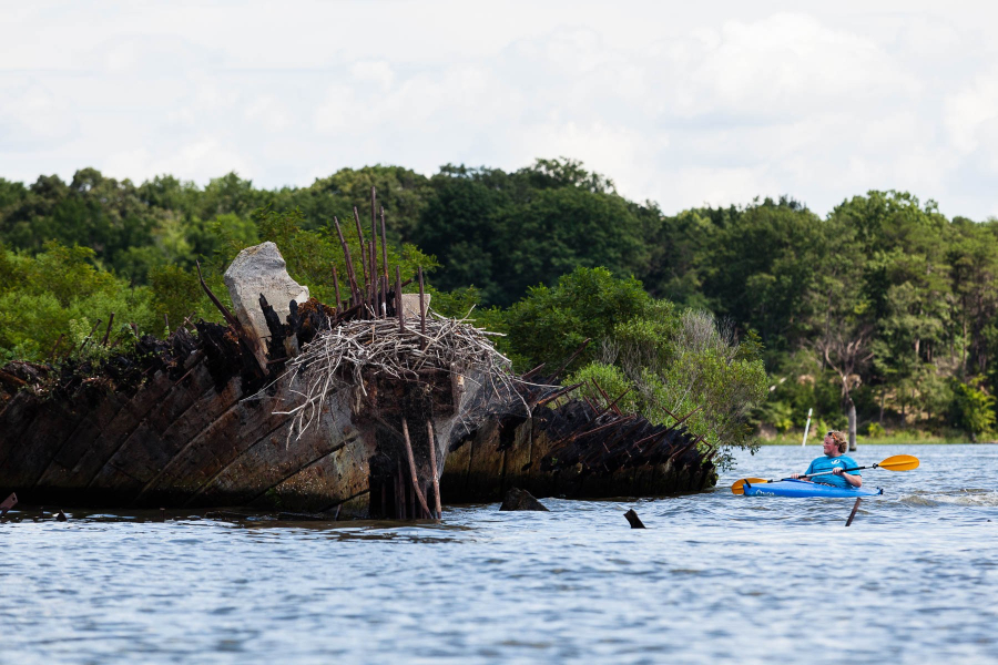 A kayaker approaches the wooden vestiges of a ship, whose bow is home to an osprey nest.