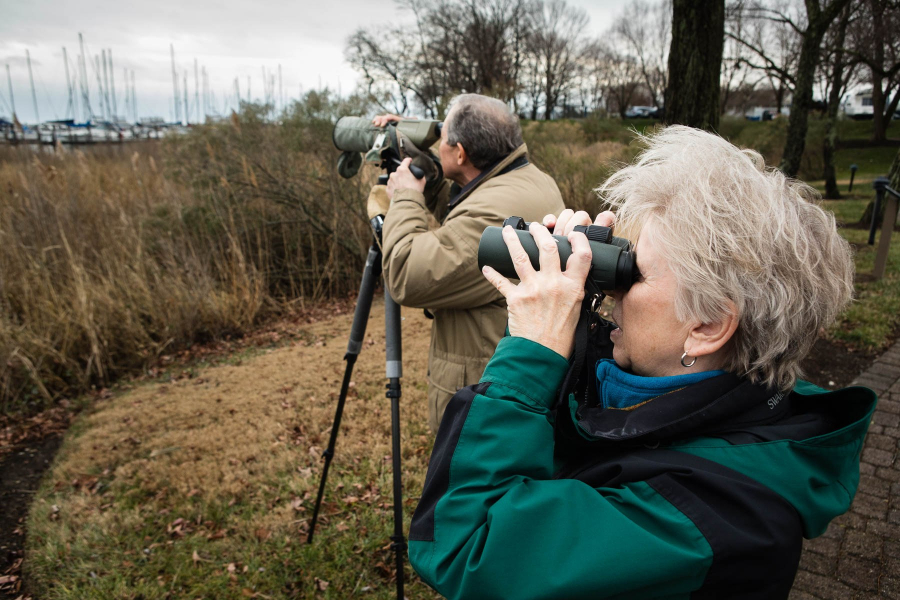 A male and female use binoculars to find birds at a waterfront park.