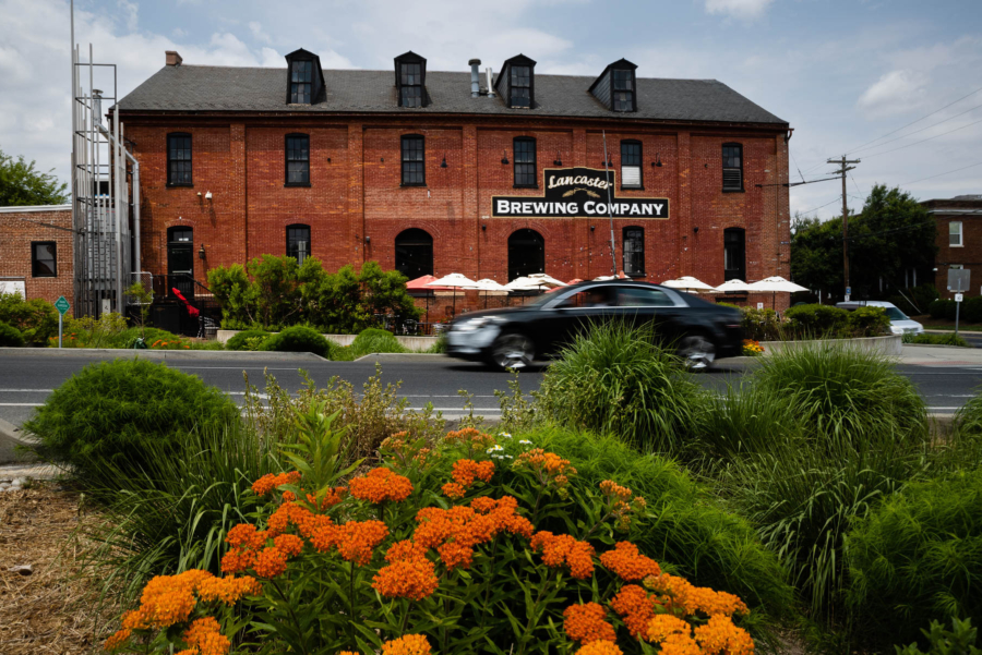 A car passes on the road in between the rain garden and Lancaster Brewing Company building.