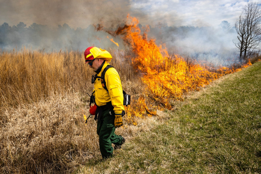 A fire technician walks in front of a tall wall of flames engulfing a field.