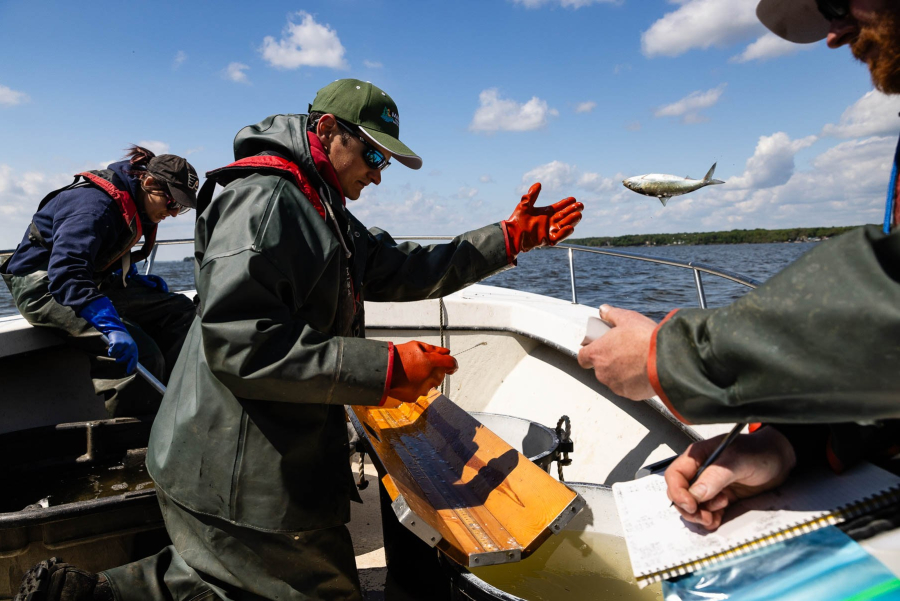 Three researchers work in a small boat. One tosses a small fish overboard, while another records data.