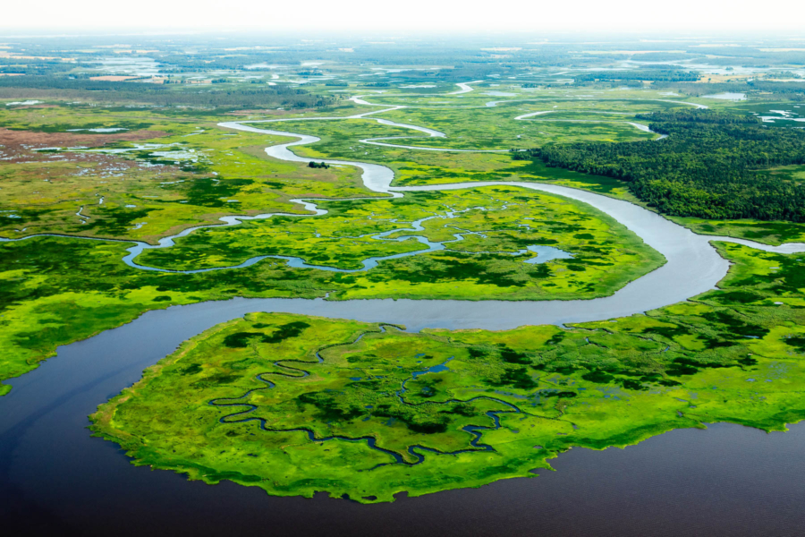 A view from the air of a winding river entering a larger waterway with very green land surrounding it.