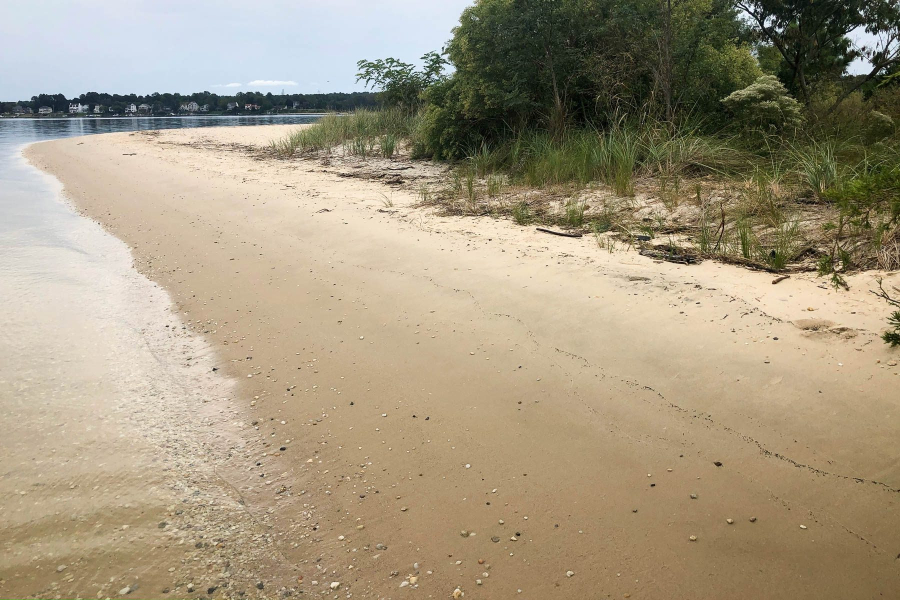 Beach with vegetated area to the side.