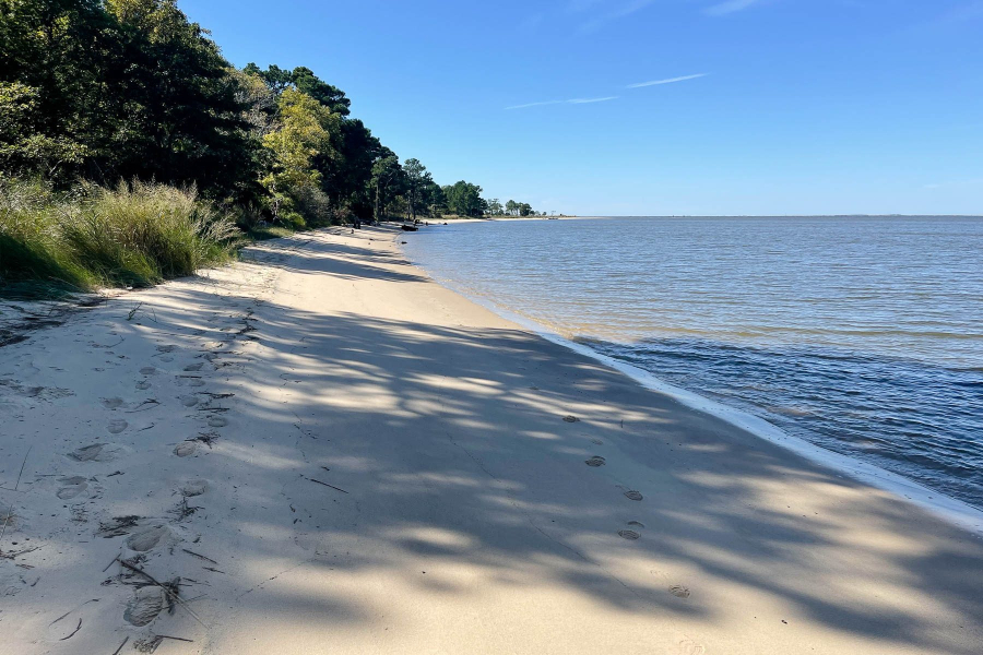 Sandy beach, blue water on the right, trees and grass on the right.