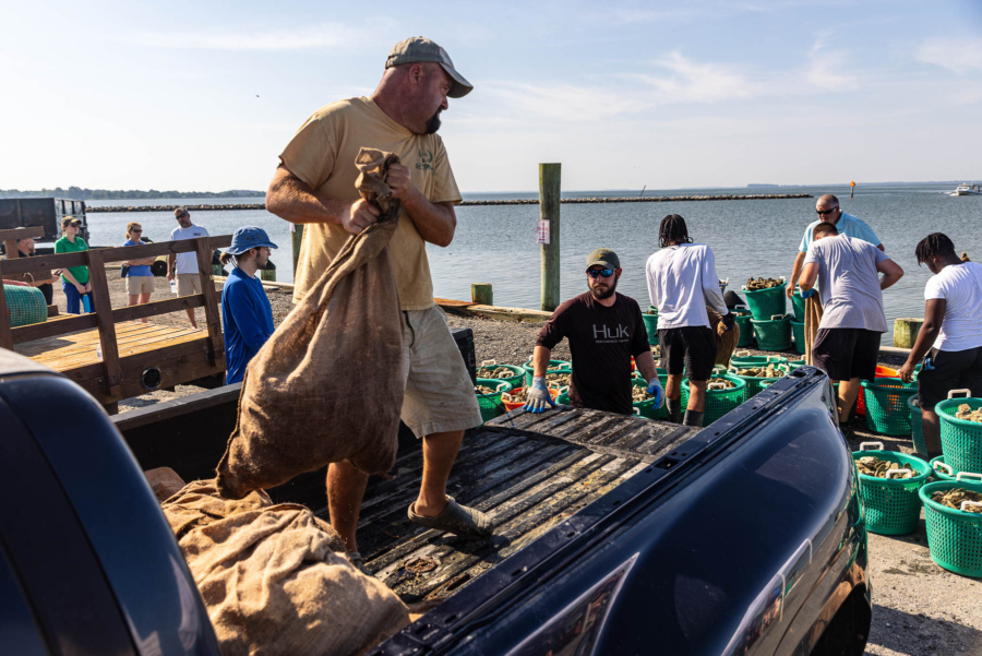 A large man holds a large sack of oysters in a large pickup truck facing a group of people on some docks facing the Bay.