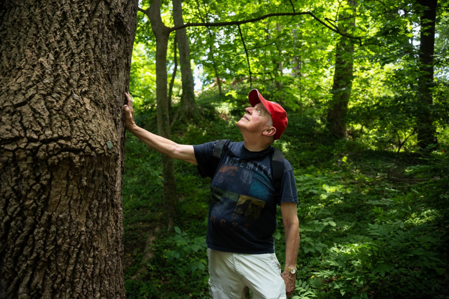 Craig Howell rests his hand on a tree and looks upward.