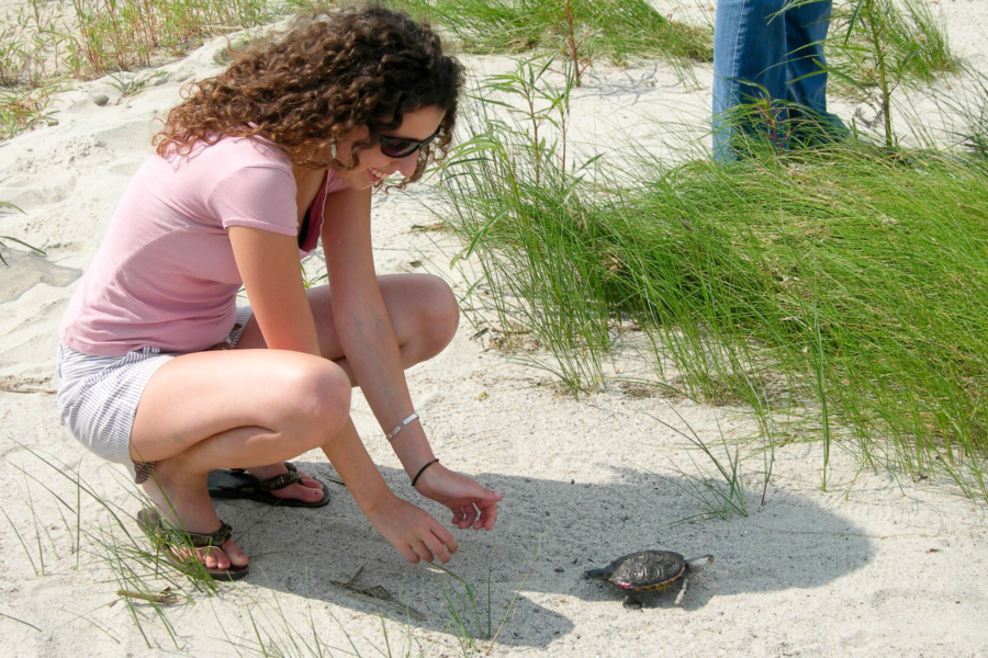 The author crouches on a sandy beach with a small terrapin walking away.