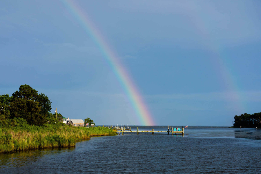 Rainbow over the water with a grassy shoreline.