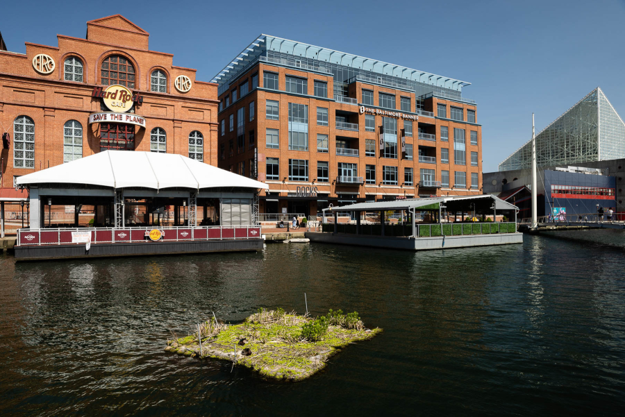 A patch of grass with shrubs floats in the middle of a canal in the harbor.