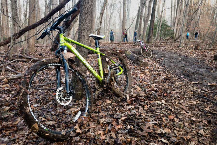 A bicycle with muddy tires rests on a tree in the forest.