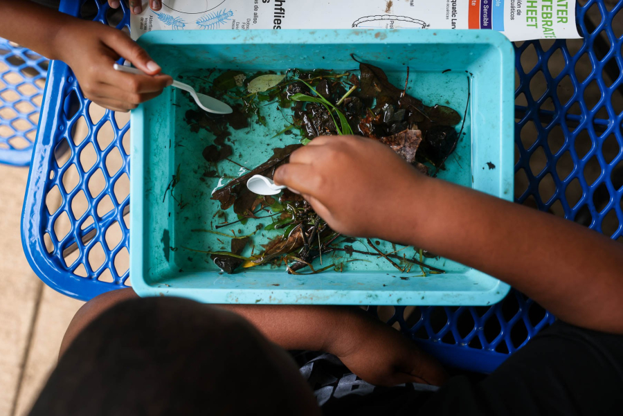 Overhead view of kids sorting through soil samples in a green box.