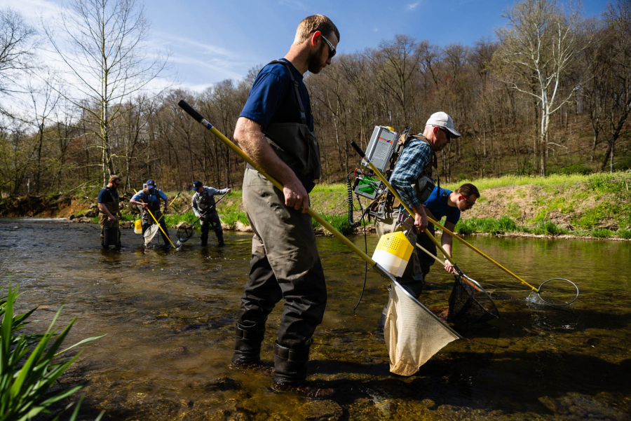 A photo of technicians fanning out in a stream to collect Chesapeake logperch