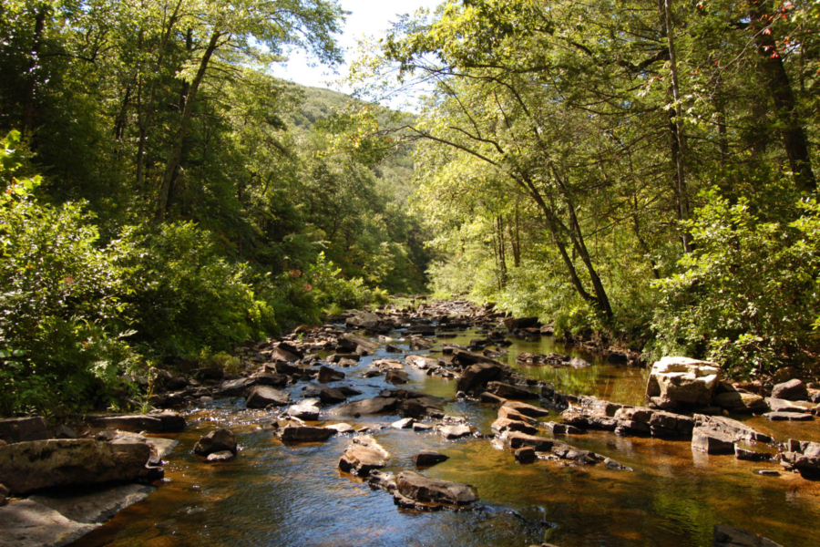 Passage Creek flows through a calm, rocky streambed with green trees on both sides.