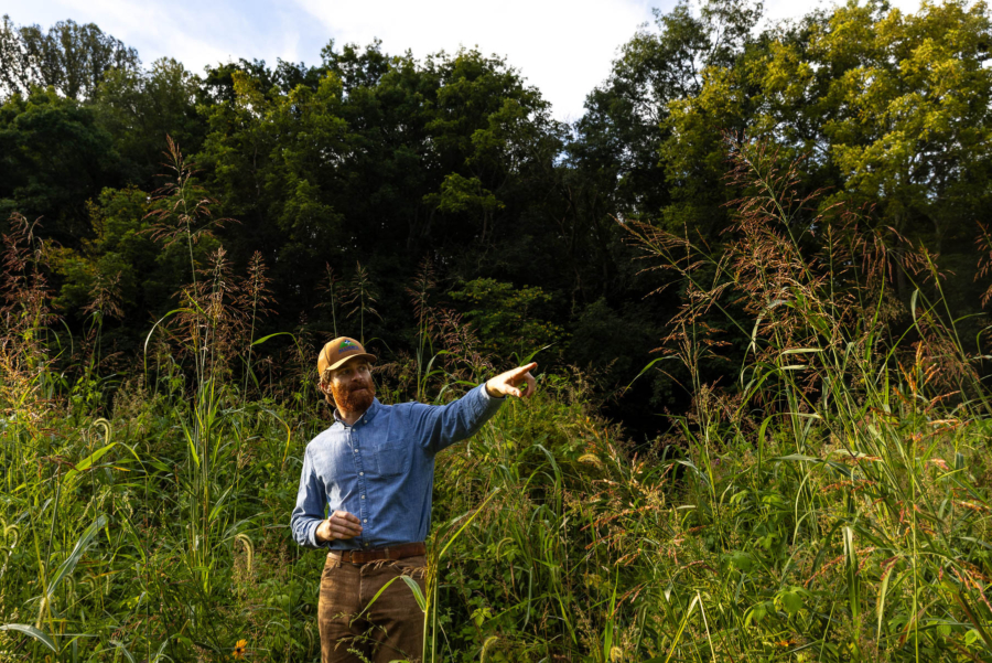 A man in a blue shirt points as he stands in a green wetland with trees behind him.