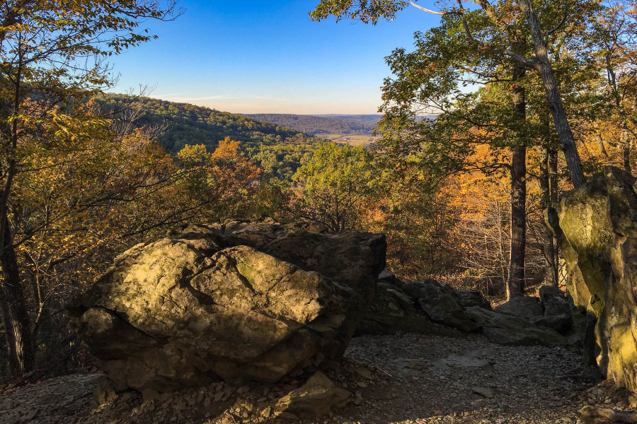 A rock sits looking out at a scenic vista with trees in the foreground.