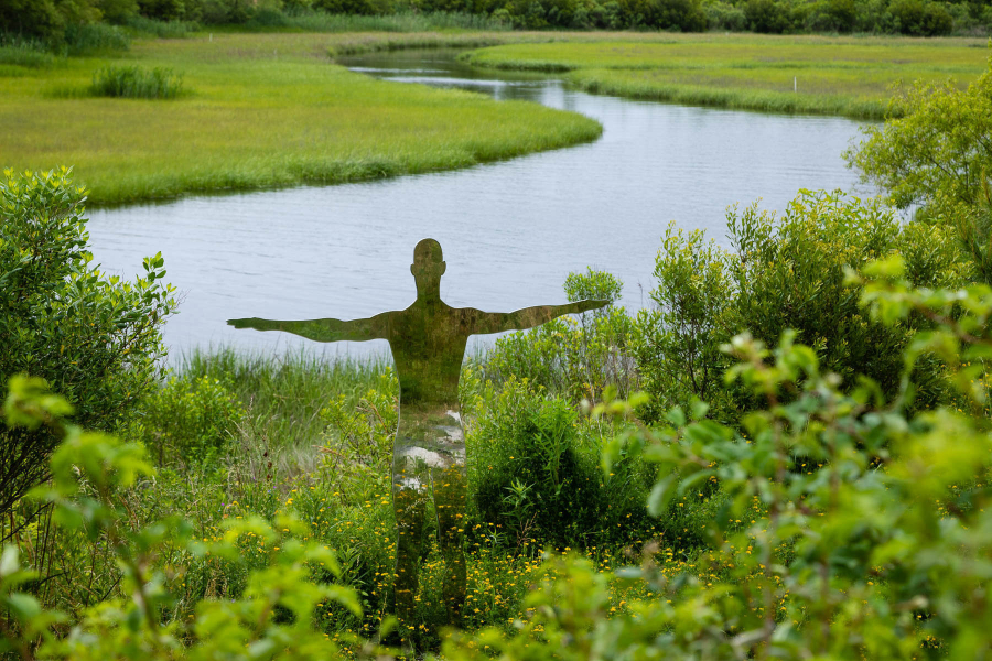 A river cuts through a wetland, with a reflective statue of a person implying unity.