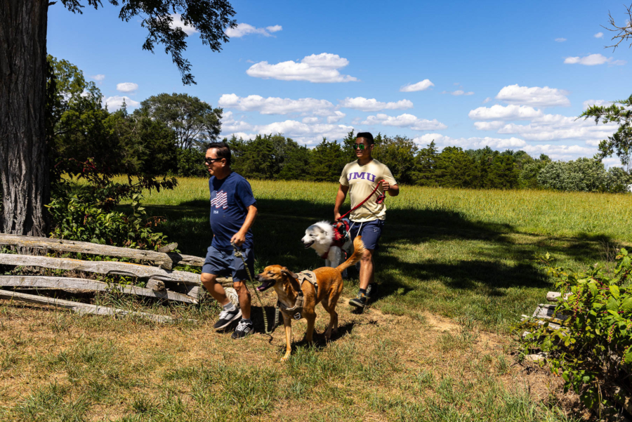 Two men with dogs walk through an opening in the fence line.