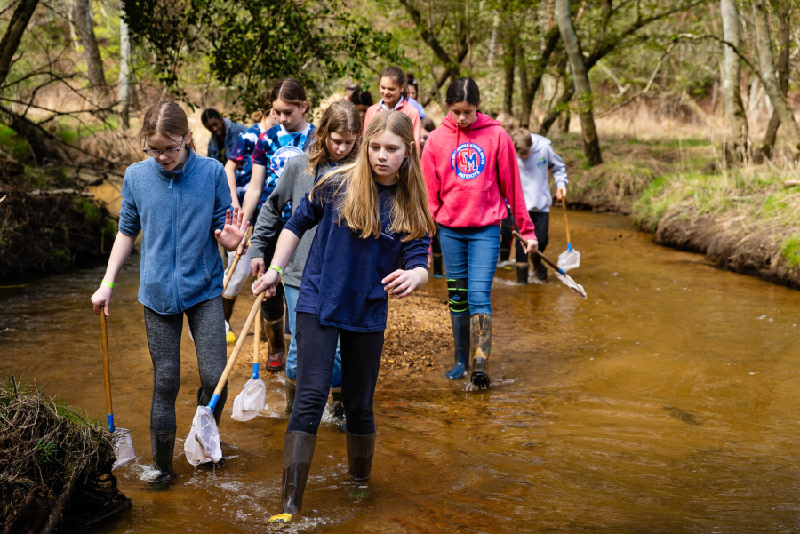 Sixth-grade students wade through a shallow creek, carrying small nets to sample invertebrates.