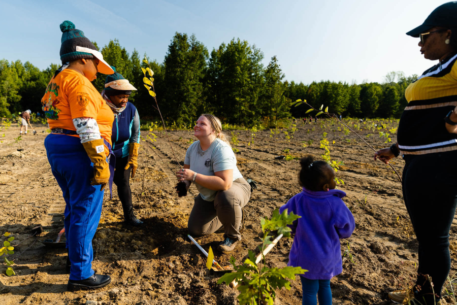 Over 150 volunteers helped plant 2,075 trees in a field cleared of invasive species