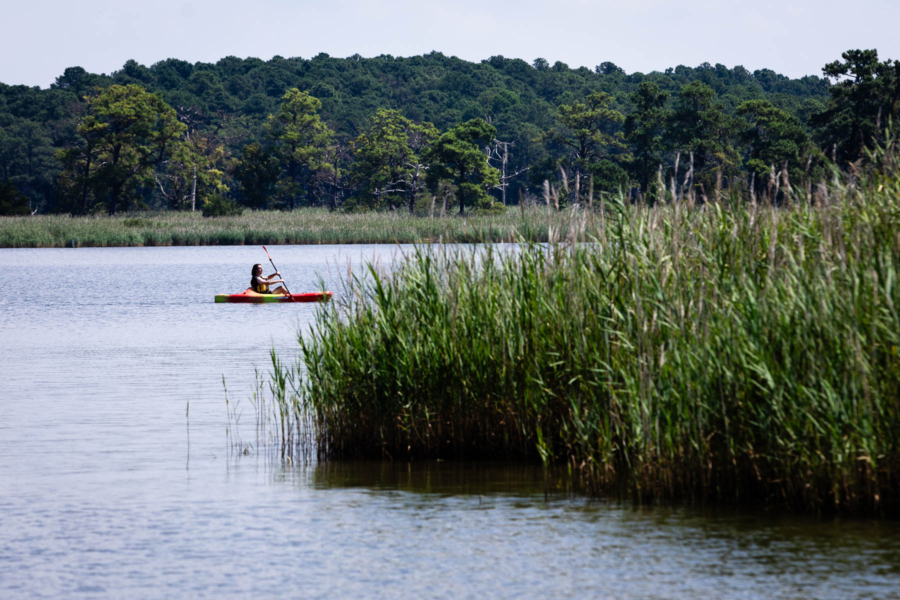 Person paddles on a river past a marsh.