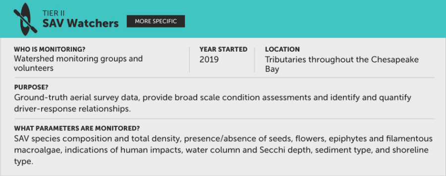 SAV Watchers is lead by watershed monitoring groups and volunteers. Started in 2019. Located in tributaries throughout the Bay. Purpose is to supplement aerial survey data. Monitoring parameters are SAV species composition and density, and other biological measurements.