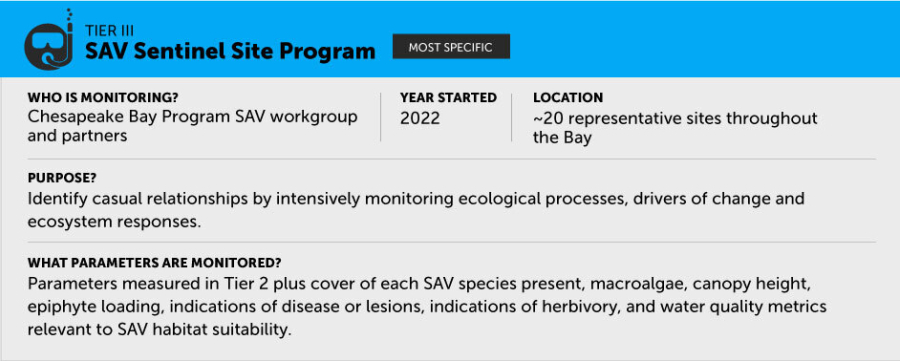 SAV Sentinel Site Program is lead by Chesapeake Bay Program SAV workgroup and partners. Started in 2022. Located at 20 sites throughout the Bay. Purpose is to identify impacts on SAV. Parameters include SAV species, macroalgae, canopy height, and more.