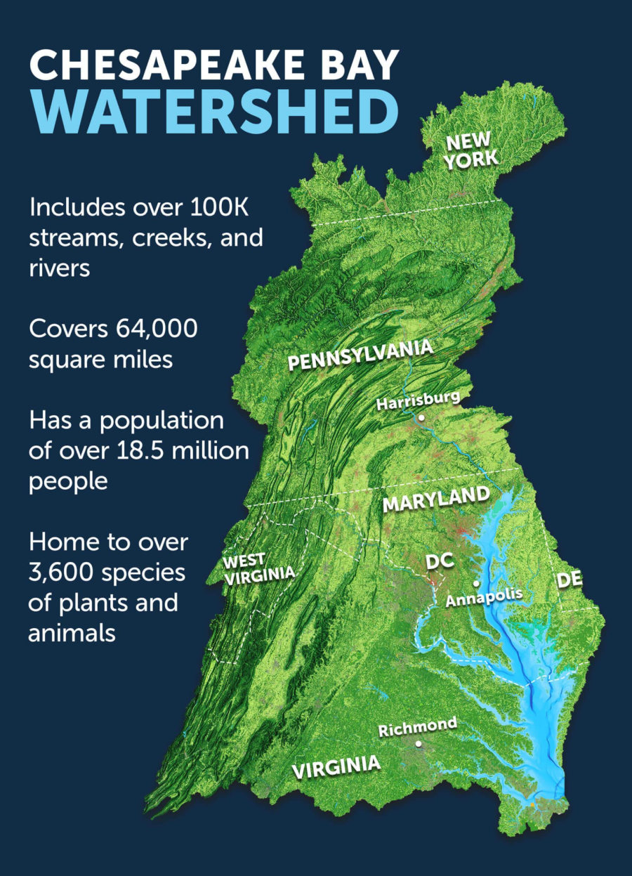 An infographic shows the geographic bounds of the Chesapeake Bay watershed, and highlights jurisdictions, major cities and basic facts about the region.