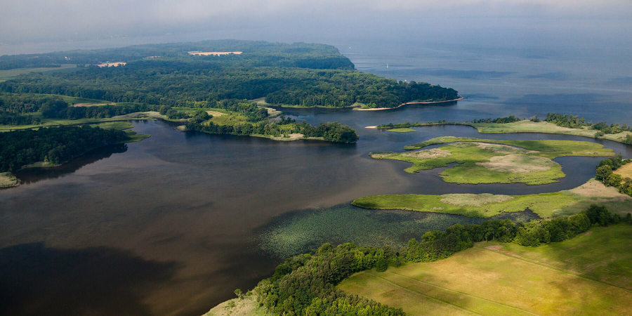 An aerial view of a creek flowing into a wide river, with green trees and farm fields on either shore.