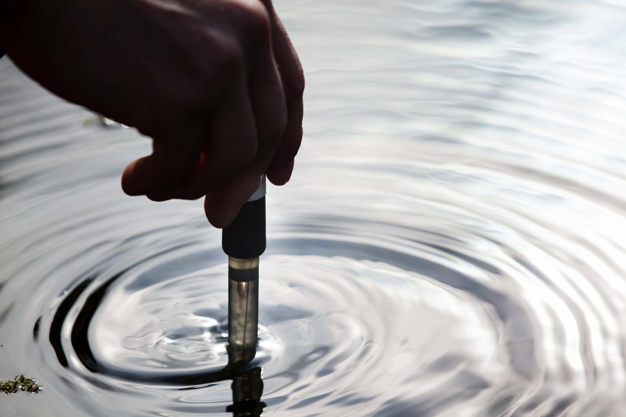 A hand dips a Vernier pH probe into a body of water.